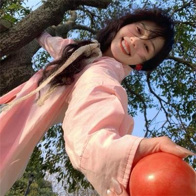 宫廷斗鸡